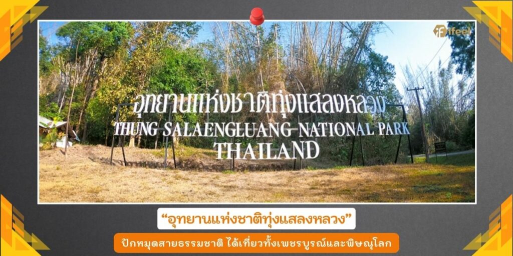 ทุ่งแสลงหลวง