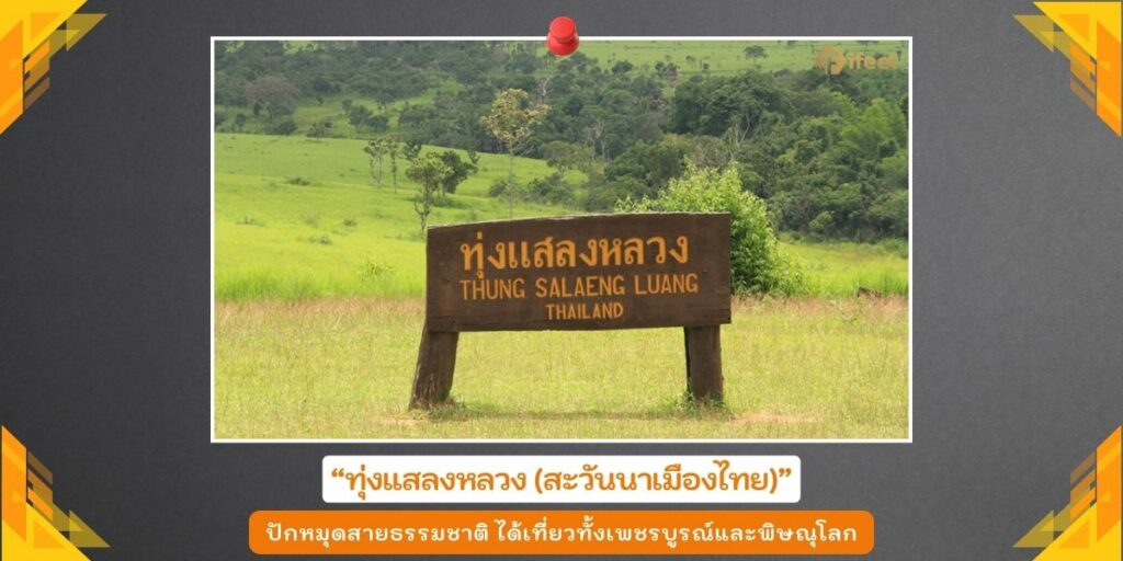 ทุ่งแสลงหลวง