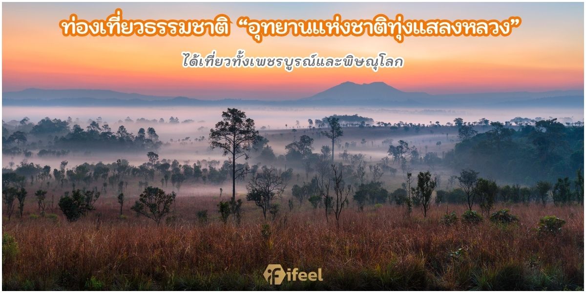 ทุ่งแสลงหลวง