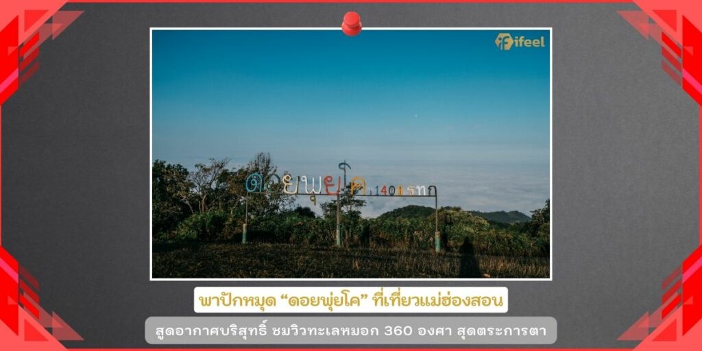 ดอยพุ่ยโค