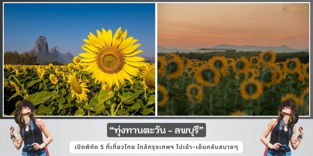 ที่เที่ยวไทย