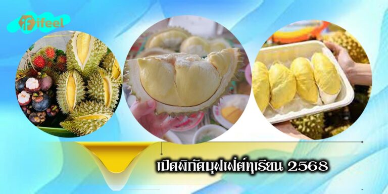 Durian Buffet-01