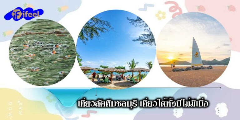 Travel to Sattahip-01