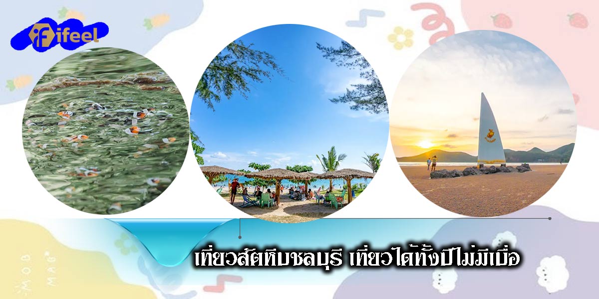 Travel to Sattahip-01