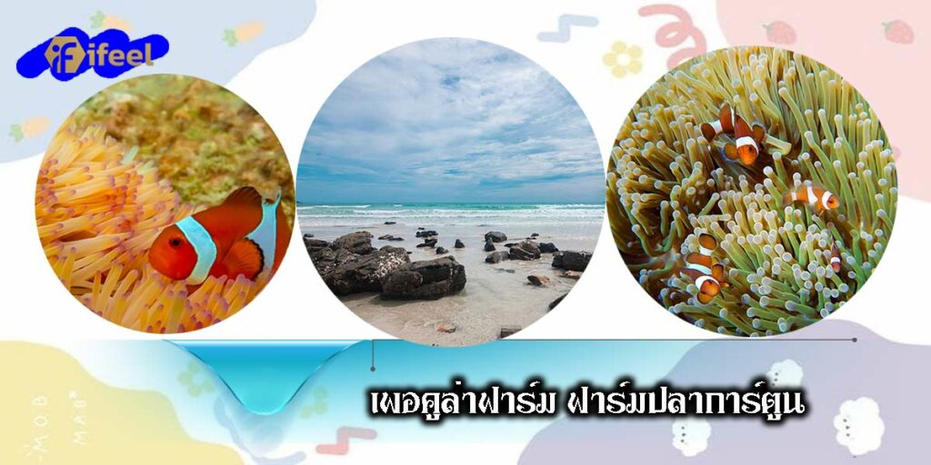 เที่ยวสัตหีบ ทะเลสวยน้ำใส