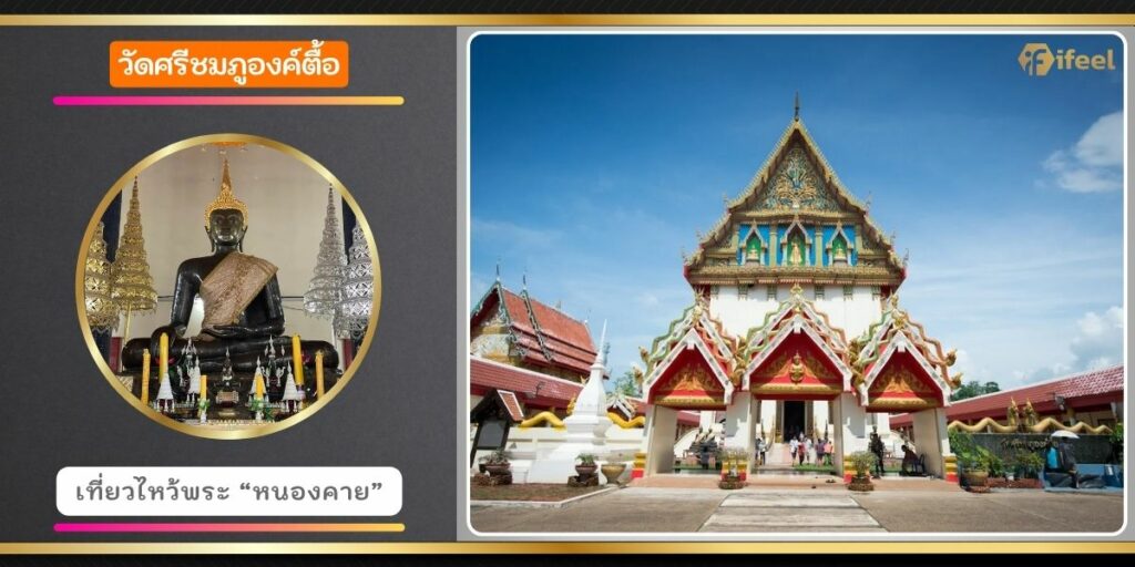 วัดศรีชมภูองค์ตื้อ