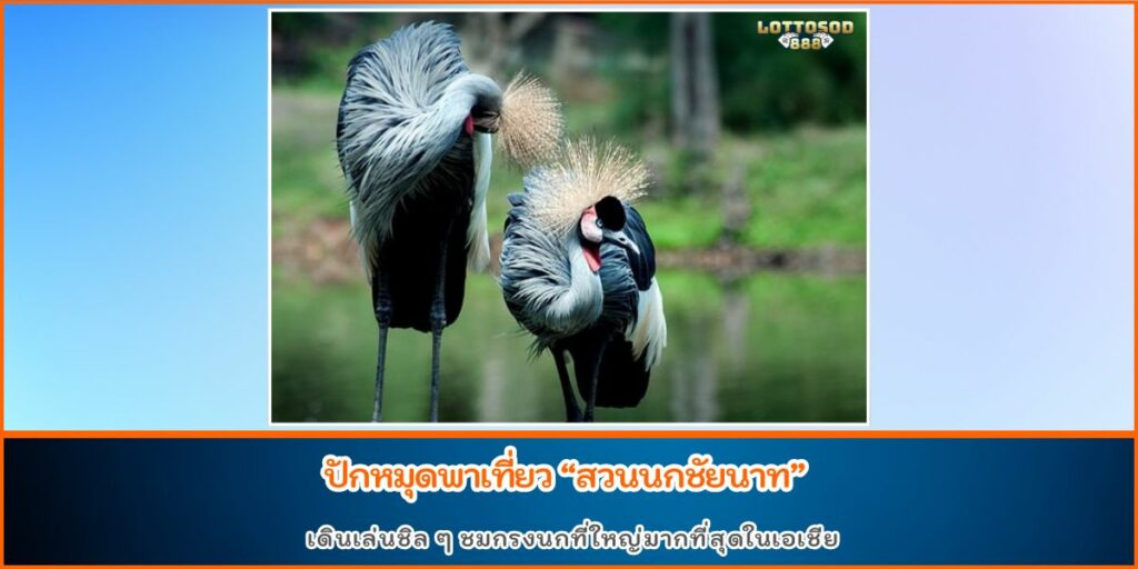 สวนนกชัยนาท