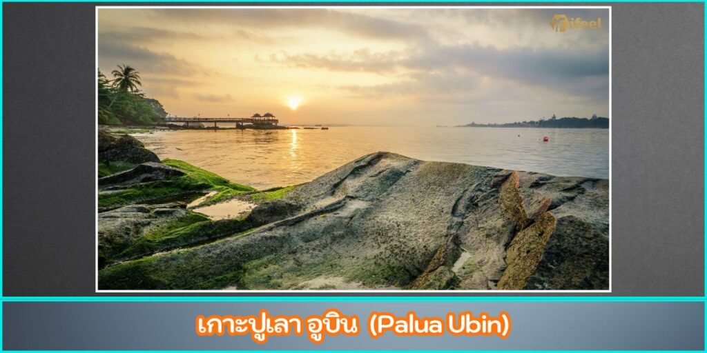 เกาะในสิงคโปร์