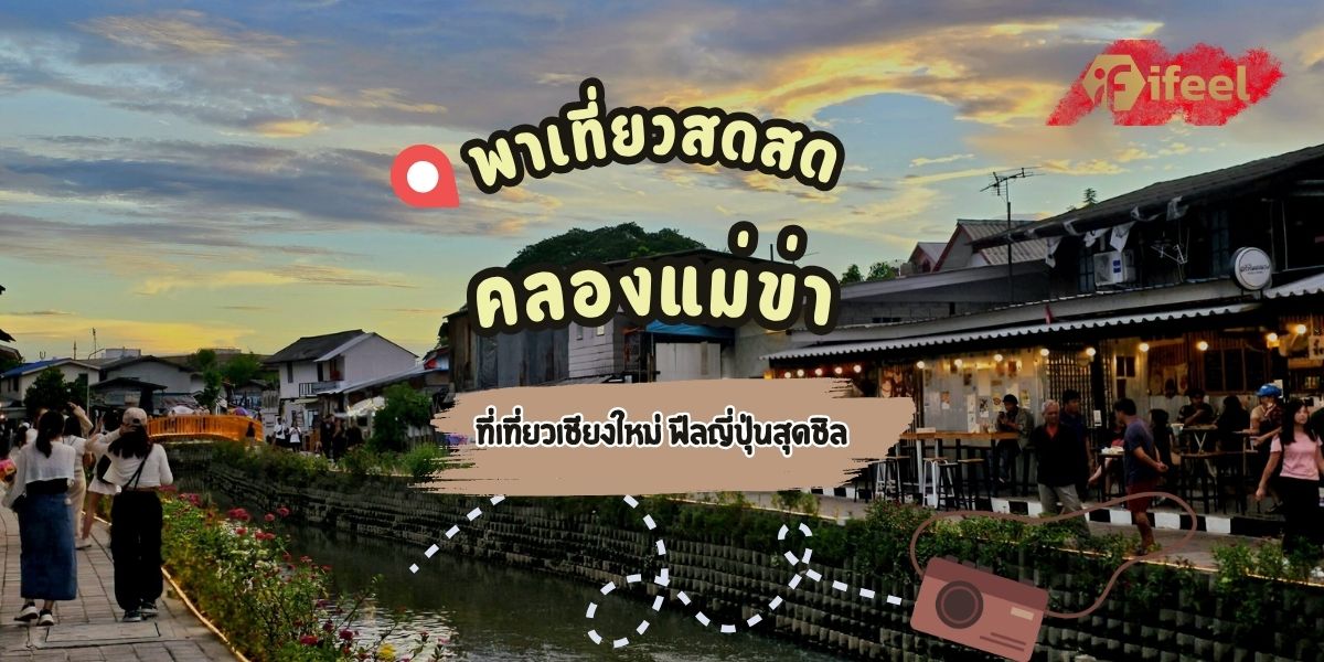 สดสด