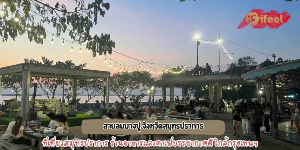 สายลมบางปู 