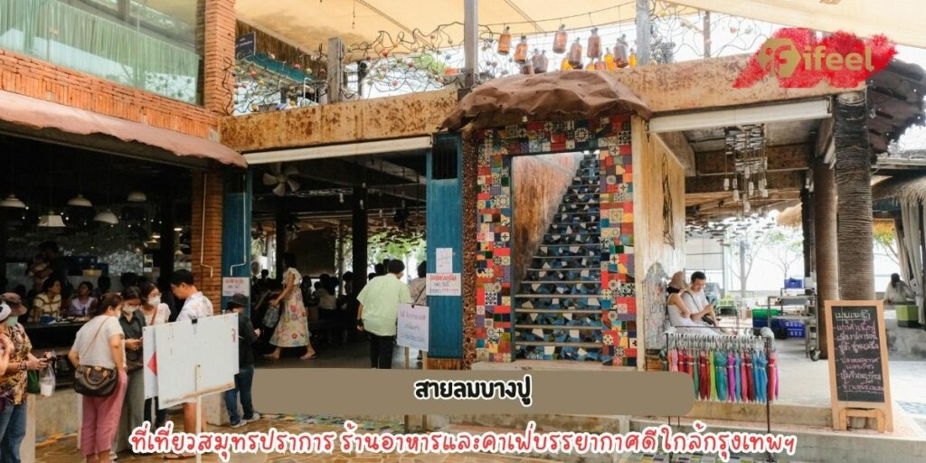 สายลมบางปู 