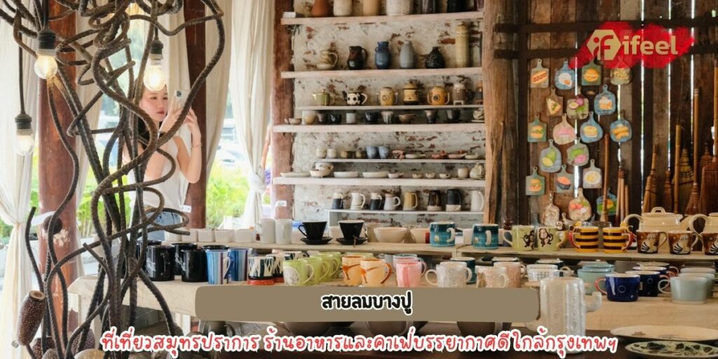 สายลมบางปู 