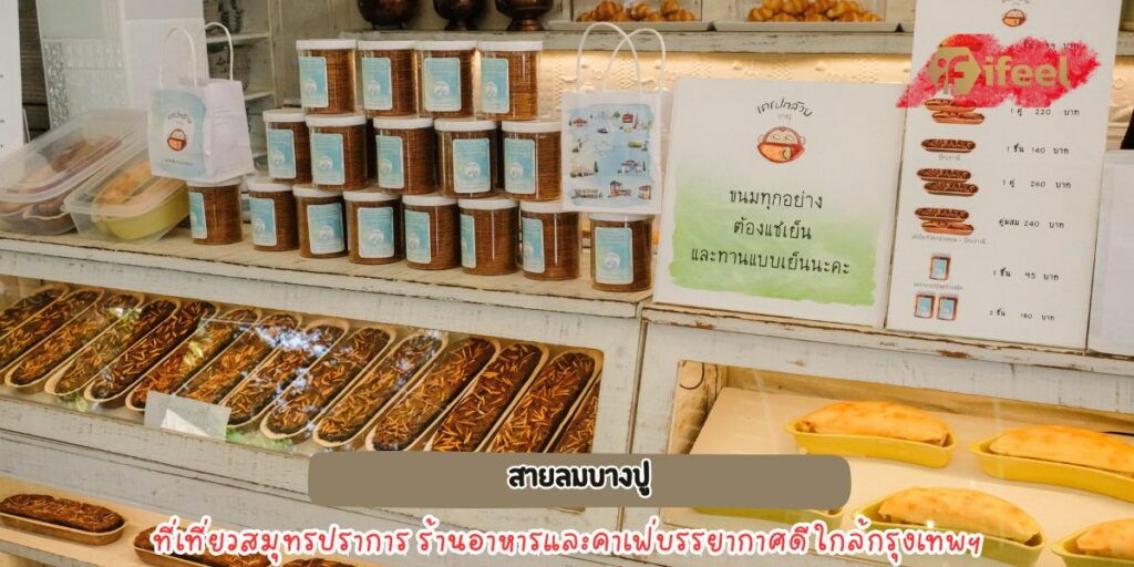 สายลมบางปู 