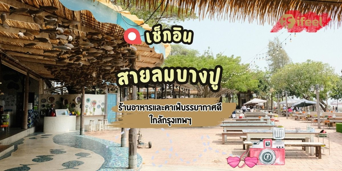 สายลมบางปู
